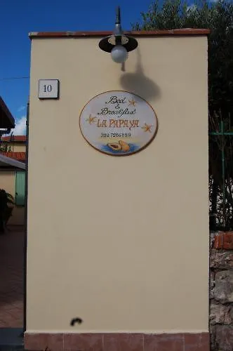 La Papaya Hotel Marina Di Pisa 3*,  Italy