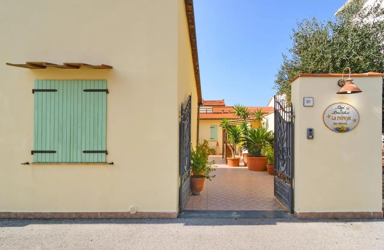 Guest house La Papaya Hotel Marina Di Pisa